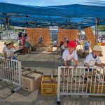 IMG_9039