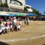 526690CE-BAD9-4C58-B1E5-EE99DB0714D6