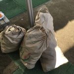 51C5FD6F-00E5-4D40-A959-4159C0F78083