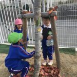 59803BF5-100C-40AB-B9B7-7598B89B849D