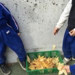 BA447413-3150-4E9B-A498-668ABC38CFB9