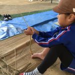 BD9AAF1B-10A0-4B37-AF5F-A3DAEAAB0F0D