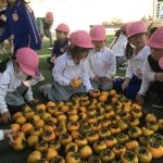 C072288E-E554-42A5-90A6-014976F36DE1