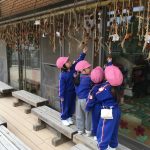 20AC4891-8829-42F6-9B99-6678F726401B