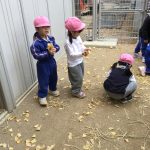 3F1F66C1-5063-4DBB-8B48-D188CC88F759