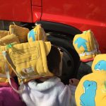 782FC877-77EC-4F20-9331-DD6B6CB6D3B3