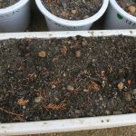 351E7304-3B7F-4DE8-9F84-B66BD2A39E35