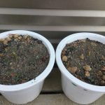 897A73D5-7C12-4BF1-89D0-52006C1B8C4C